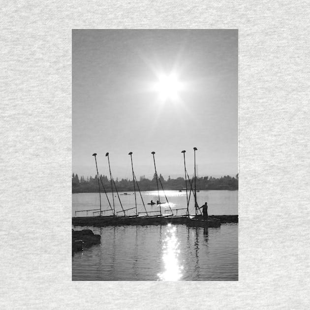 Let's Do a Little Sailing. Shoreline park, Mountain View, California 2009 by IgorPozdnyakov